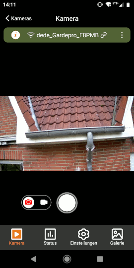 Live-Bild